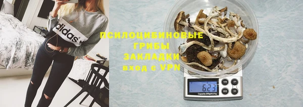 прущие грибы Балахна