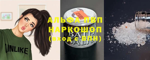 прущие грибы Балахна