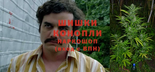 прущие грибы Балахна